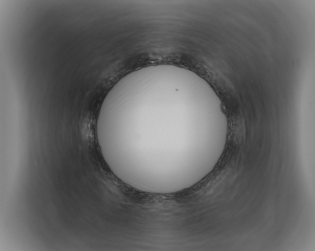 X0000112140770200908211352