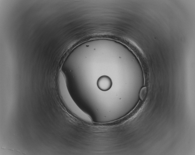 X0000112140777200908211352