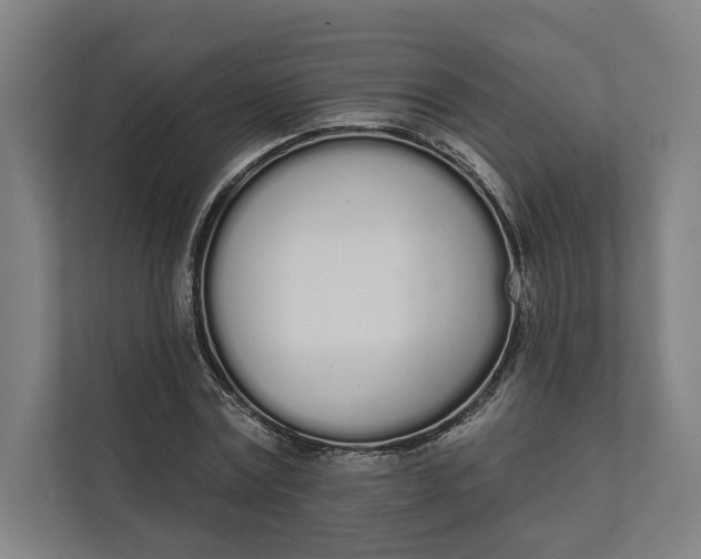 X0000112140779200908211352