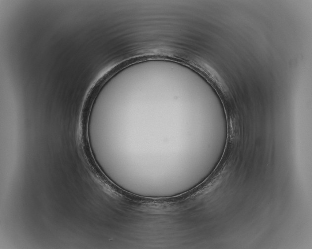 X0000112140780200908211352