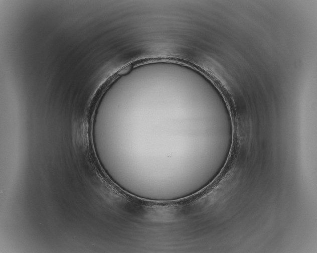 X0000112140781200908211352