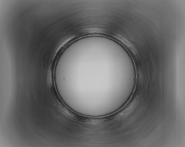 X0000112140782200908211352