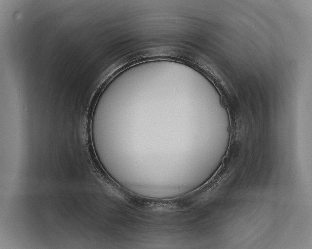 X0000112140786200908211352