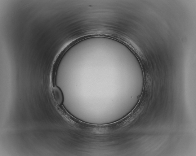 X0000112140788200908211352