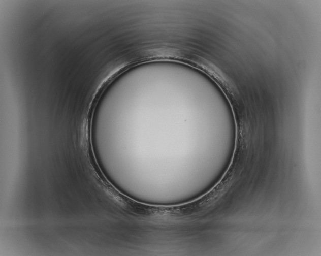 X0000112140790200908211352