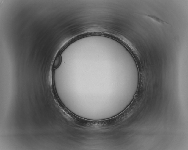 X0000112140791200908211352