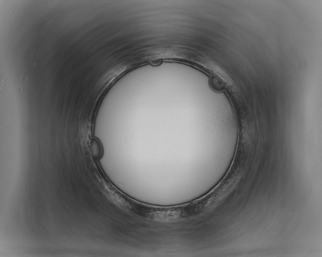 X0000112140793200908211352