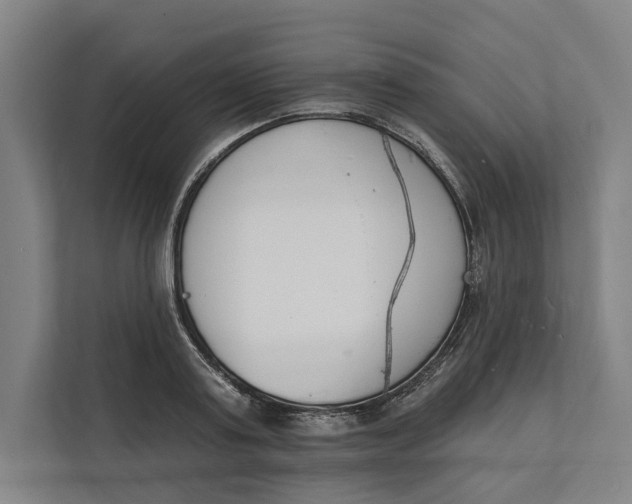 X0000112140795200908211352