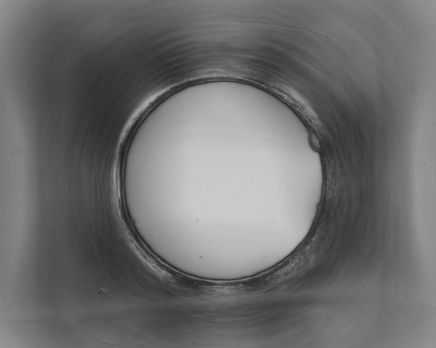 X0000112140796200908211352