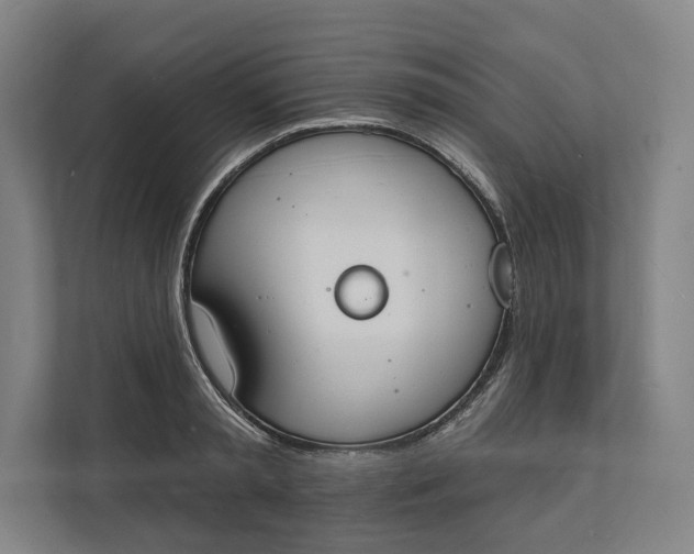 X0000112140797200908211352