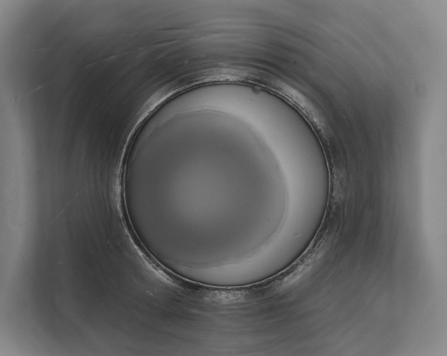 X0000112140802200908211352