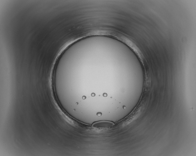 X0000112140803200908211352