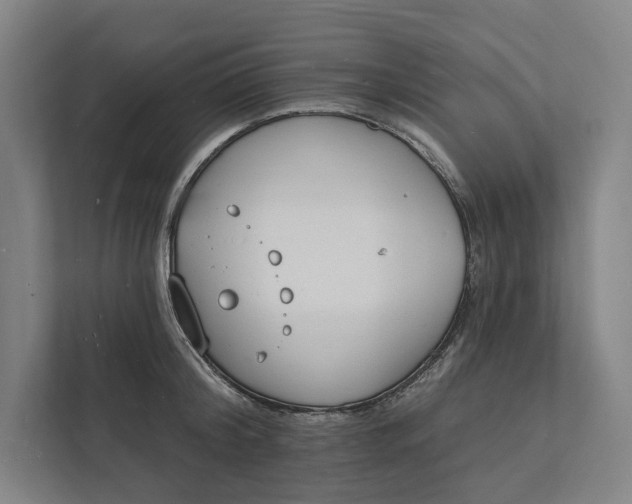 X0000112140804200908211352