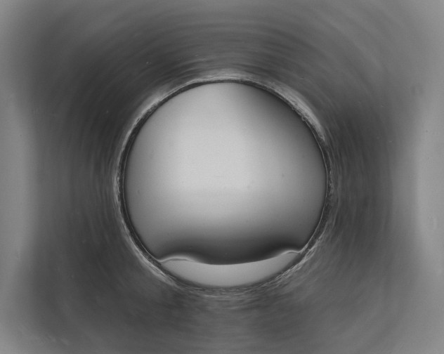 X0000112140805200908211352