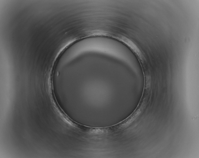 X0000112140806200908211352