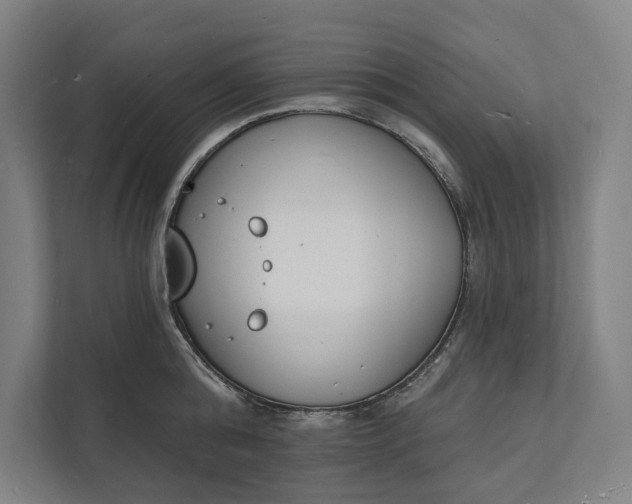 X0000112140808200908211351