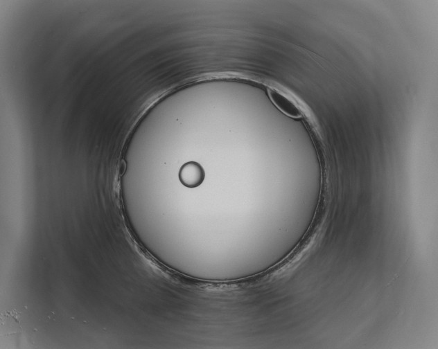 X0000112140809200908211351