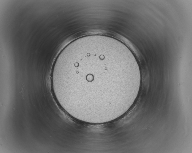 X0000112140810200908211351