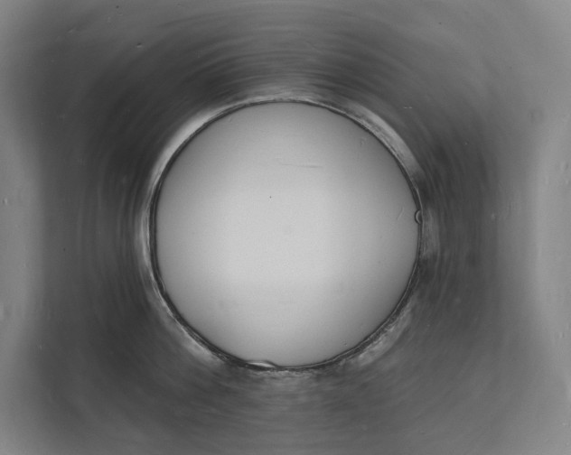 X0000112140812200908211351