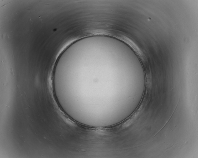 X0000112140814200908211351