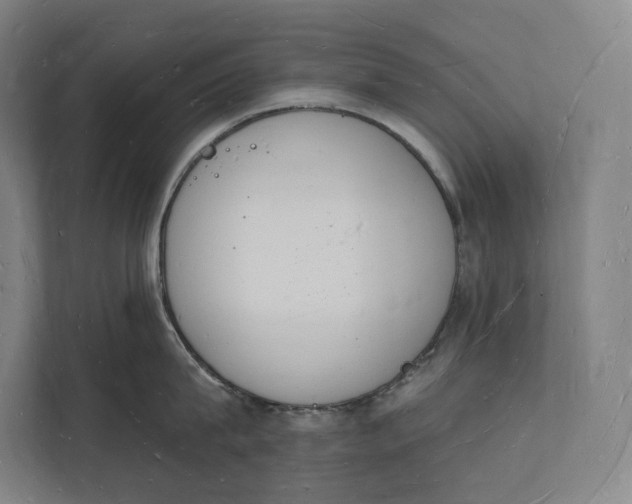 X0000112140815200908211351