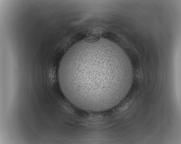 X0000112140818200908211351