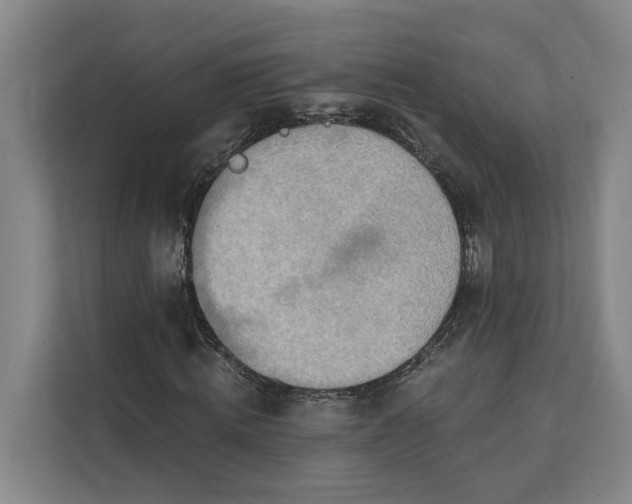 X0000112140820200908211351