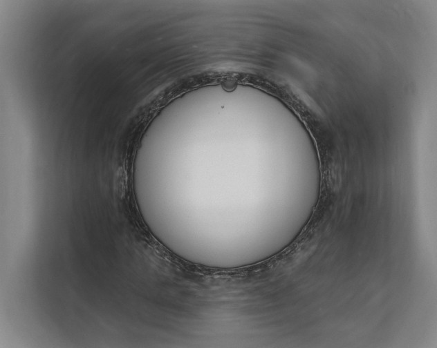 X0000112140821200908211351