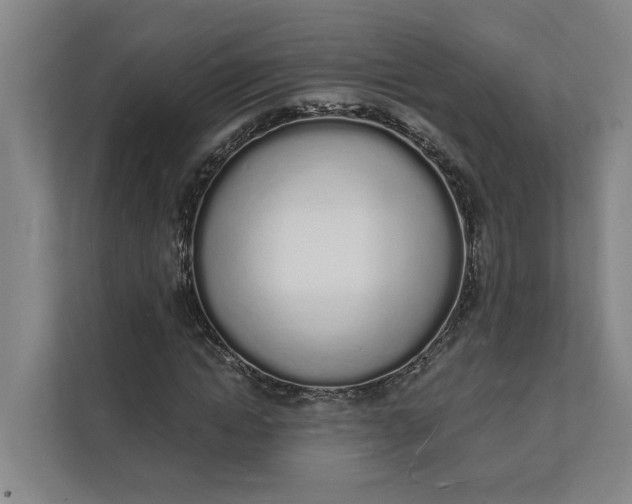 X0000112140822200908211351