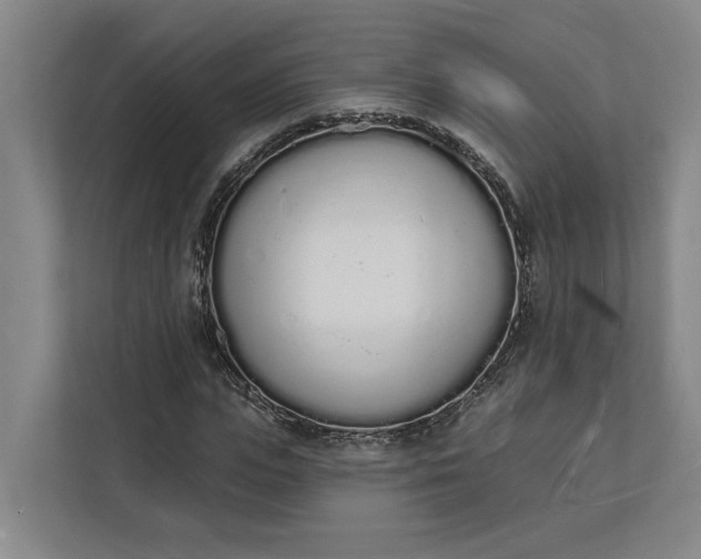 X0000112140823200908211351