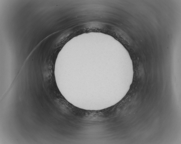 X0000112140824200908211351