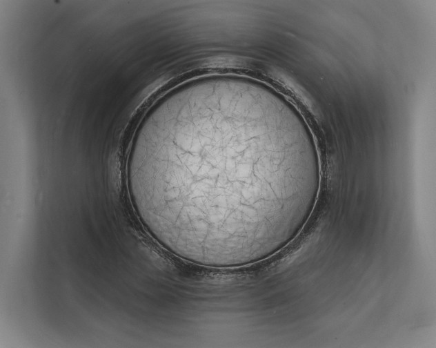 X0000112140829200908211351