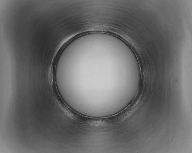 X0000112140838200908211351