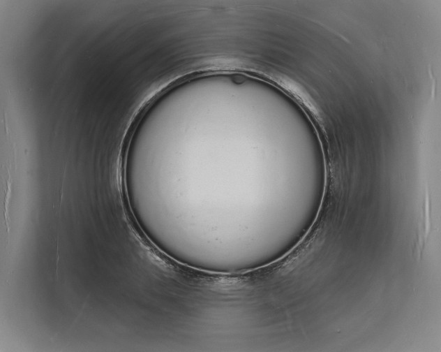 X0000112140839200908211351