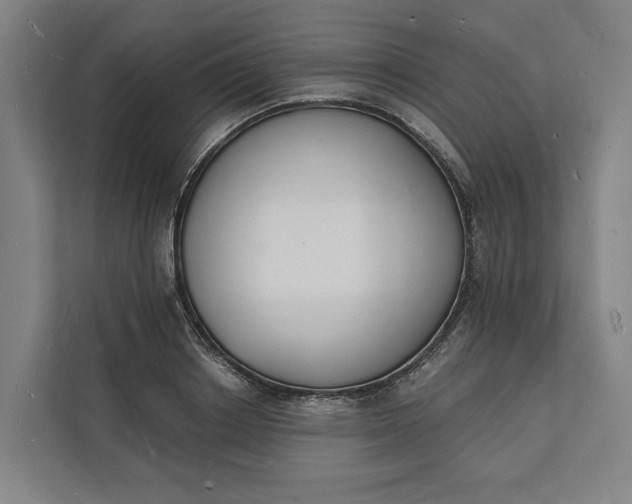 X0000112140842200908211351