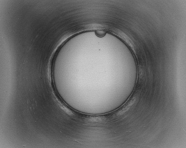 X0000112140843200908211351