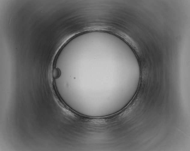 X0000112140844200908211351