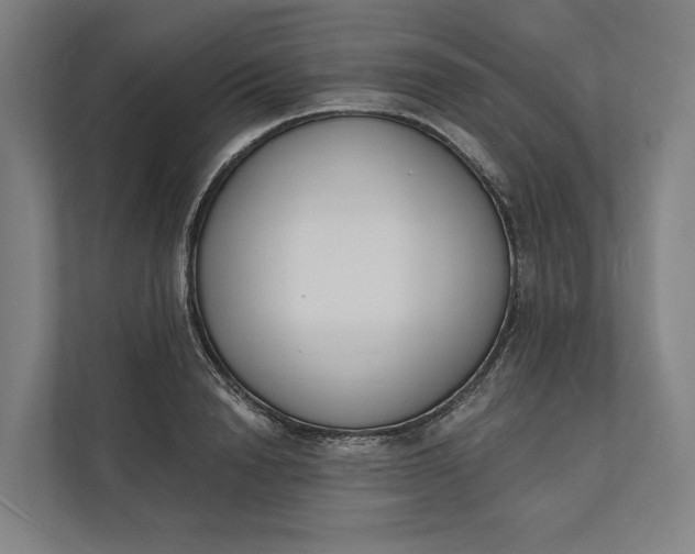 X0000112140846200908211351