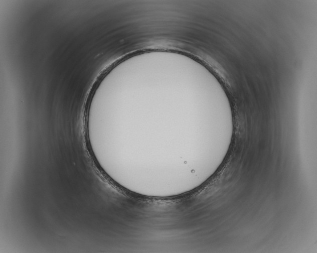 X0000112140848200908211351