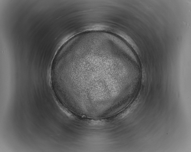 X0000112140850200908211351