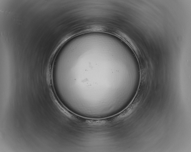 X0000112140851200908211351