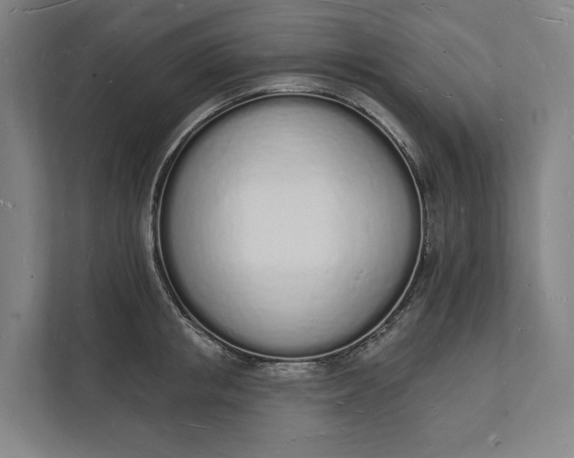 X0000112140853200908211351