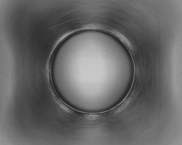 X0000112140854200908211351