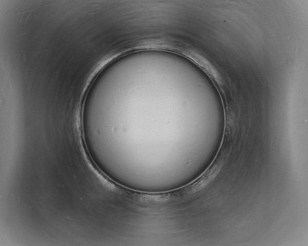 X0000112140855200908211351