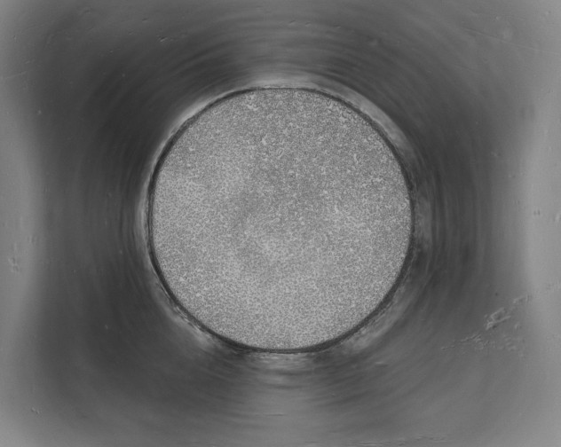 X0000112140856200908211351