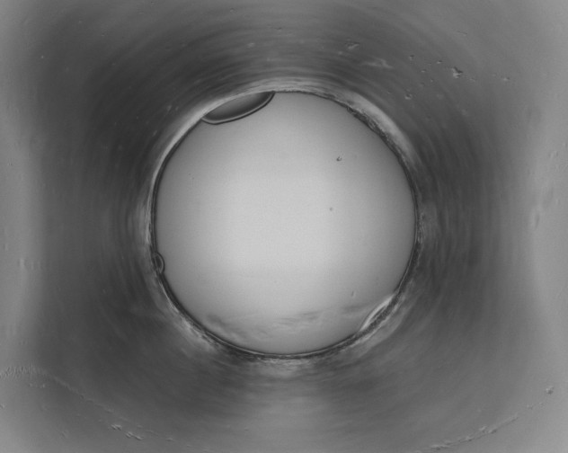 X0000112140860200908211351