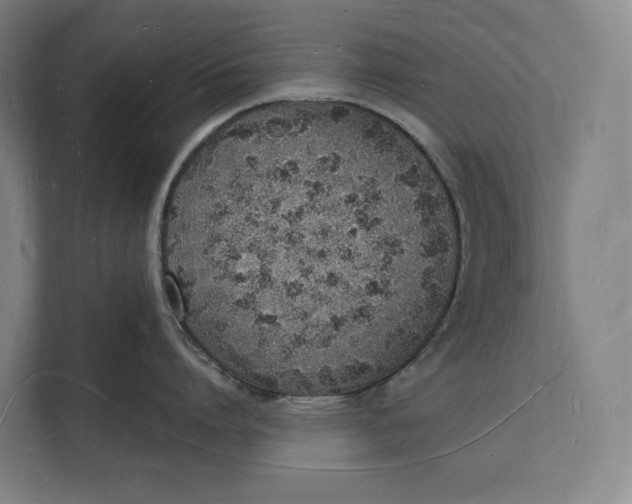 X0000112140864200908211351