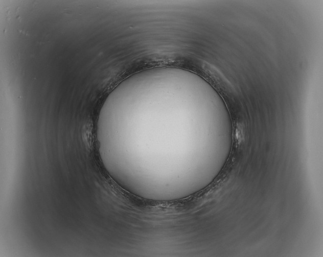 X0000112140867200908211351