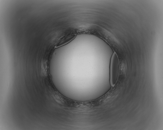 X0000112140868200908211351