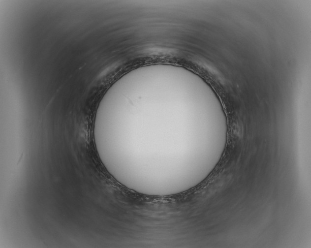 X0000112140869200908211351